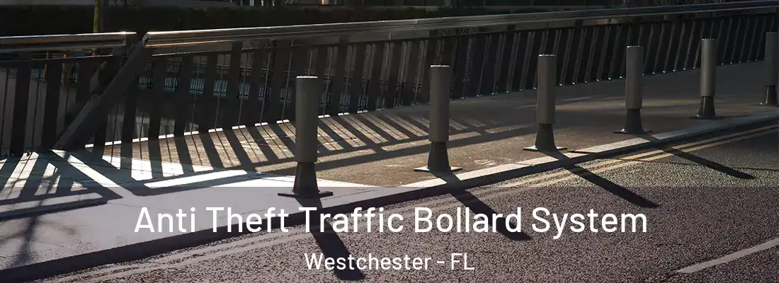  Anti Theft Traffic Bollard System Westchester - FL