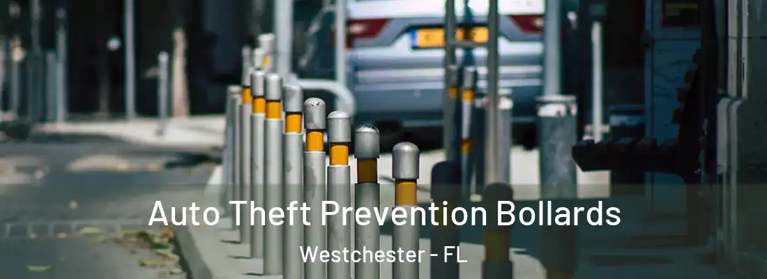  Auto Theft Prevention Bollards Westchester - FL