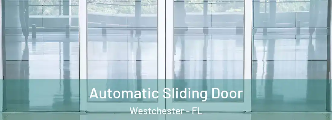 Automatic Sliding Door Westchester - FL