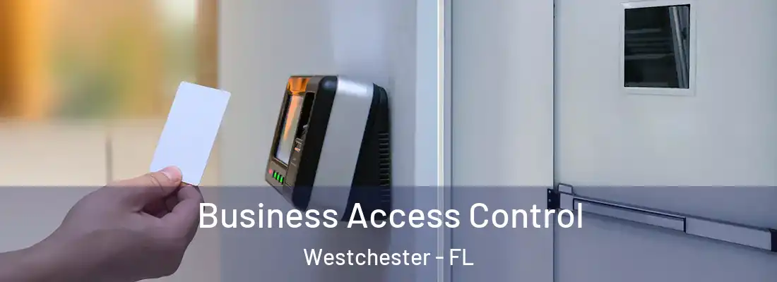 Business Access Control Westchester - FL