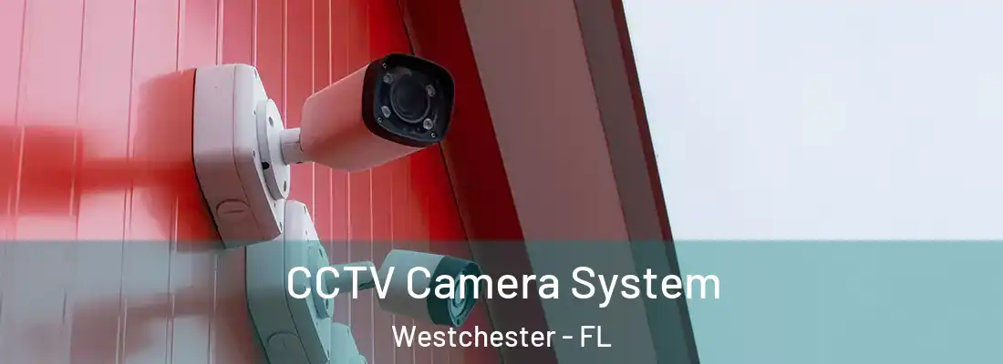 CCTV Camera System Westchester - FL