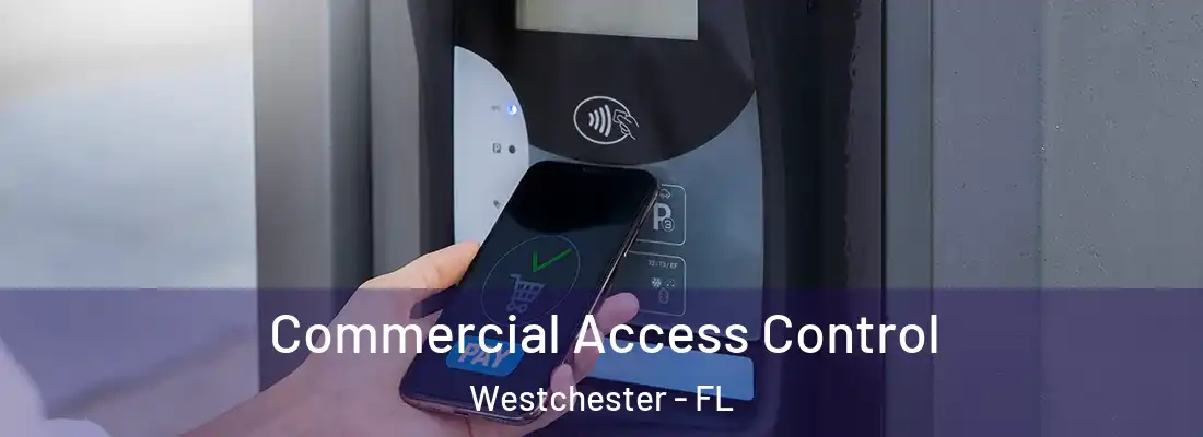 Commercial Access Control Westchester - FL