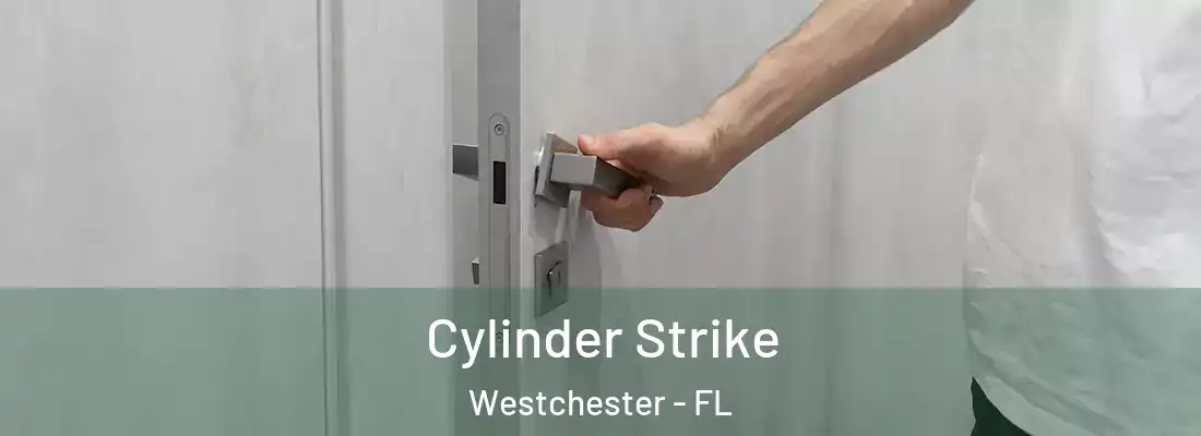  Cylinder Strike Westchester - FL