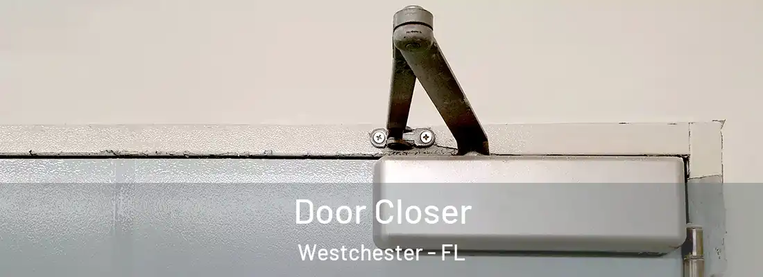  Door Closer Westchester - FL
