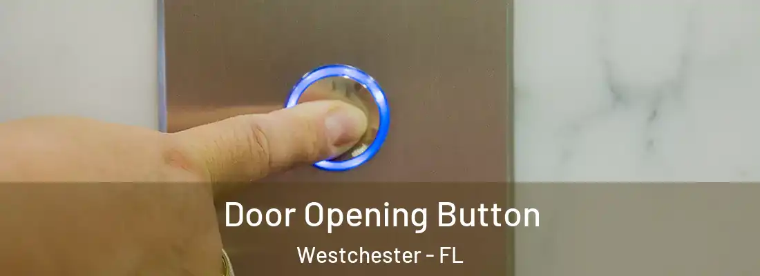 Door Opening Button Westchester - FL