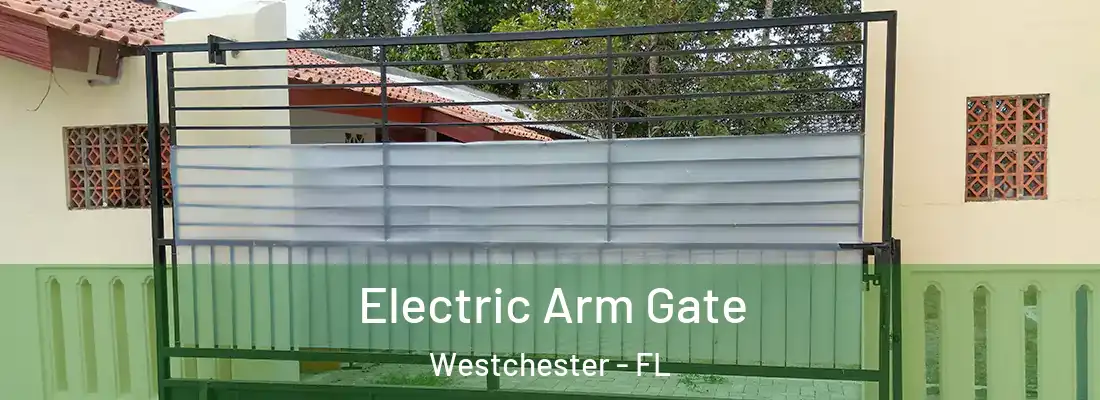  Electric Arm Gate Westchester - FL