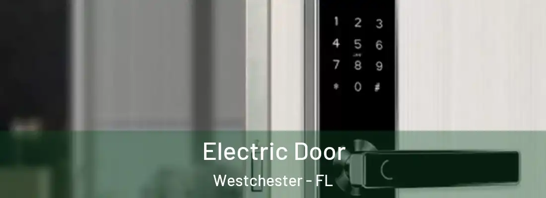  Electric Door Westchester - FL