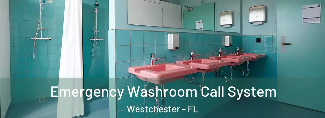 Emergency Washroom Call System Westchester - FL
