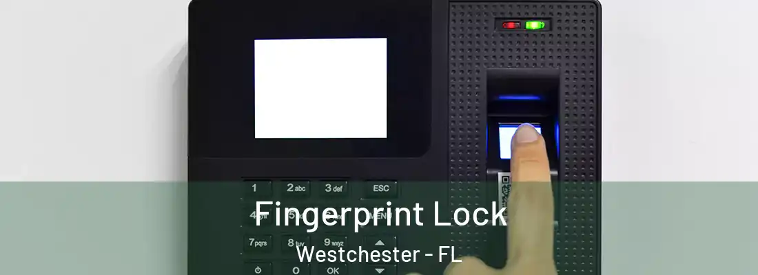 Fingerprint Lock Westchester - FL
