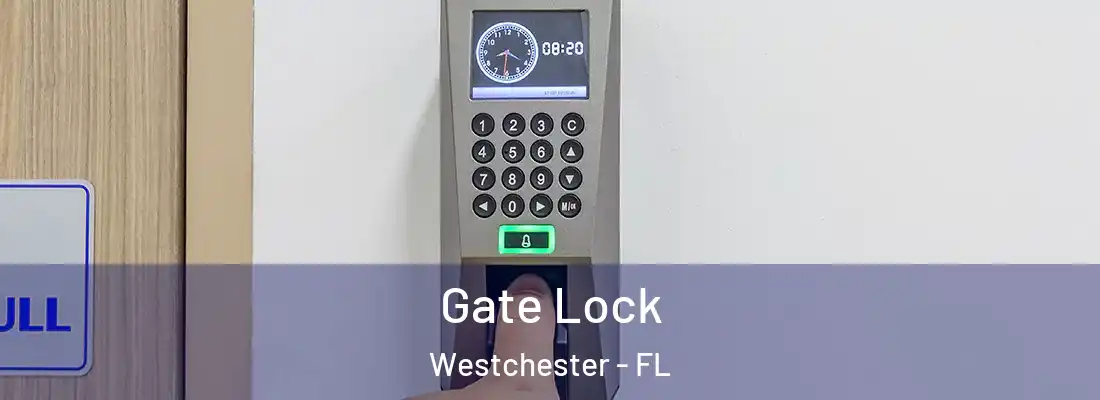 Gate Lock Westchester - FL