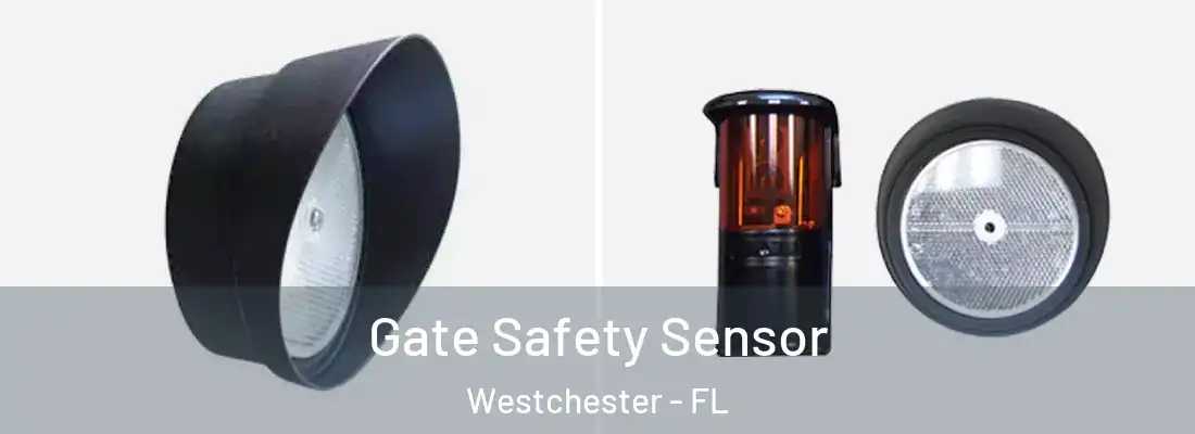 Gate Safety Sensor Westchester - FL