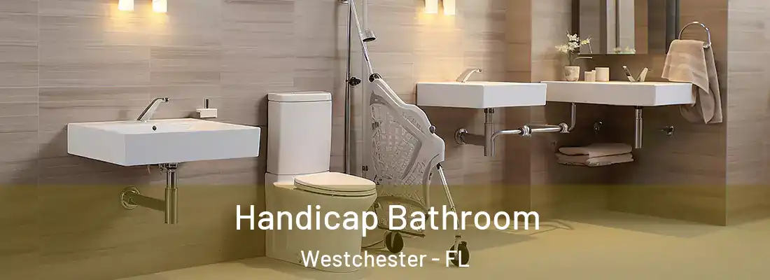 Handicap Bathroom Westchester - FL