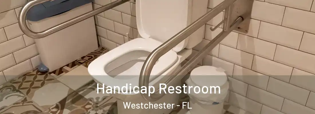  Handicap Restroom Westchester - FL