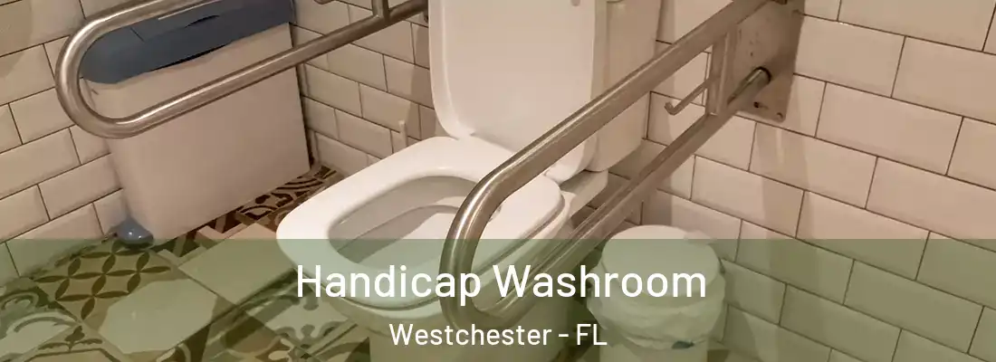 Handicap Washroom Westchester - FL