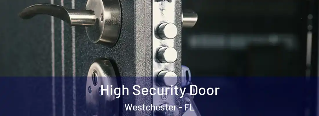  High Security Door Westchester - FL