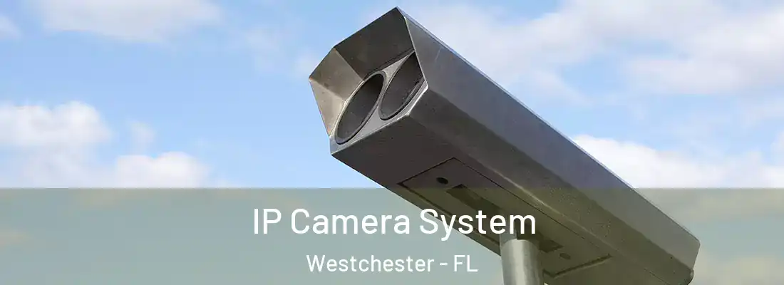 IP Camera System Westchester - FL