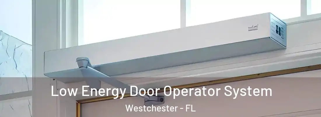 Low Energy Door Operator System Westchester - FL