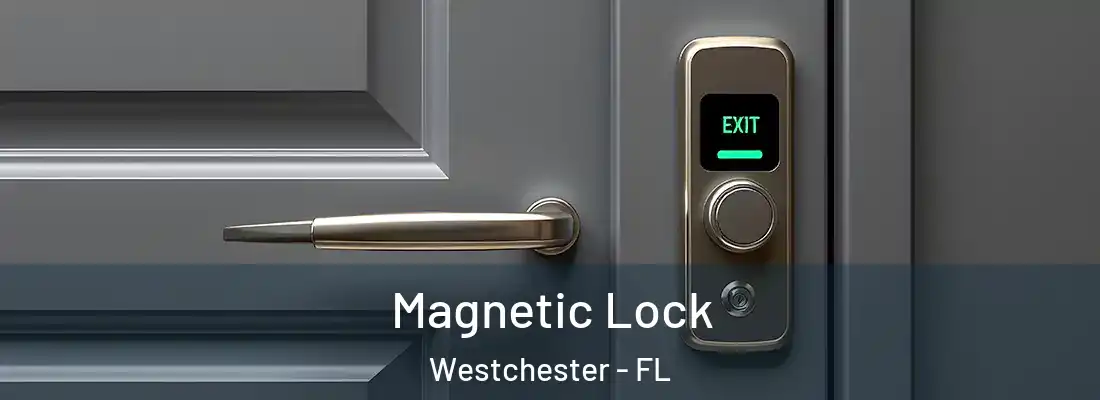  Magnetic Lock Westchester - FL