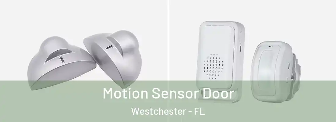 Motion Sensor Door Westchester - FL