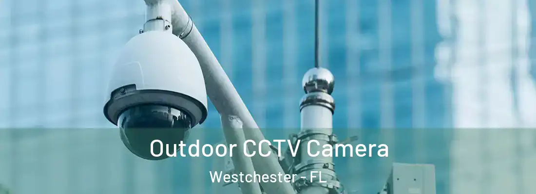 Outdoor CCTV Camera Westchester - FL