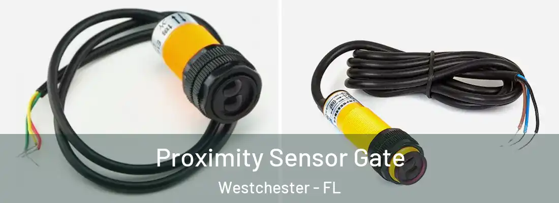  Proximity Sensor Gate Westchester - FL