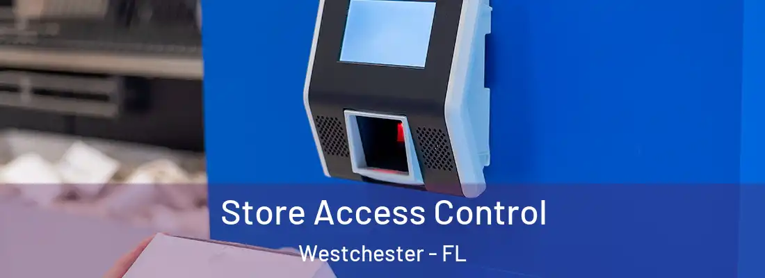 Store Access Control Westchester - FL