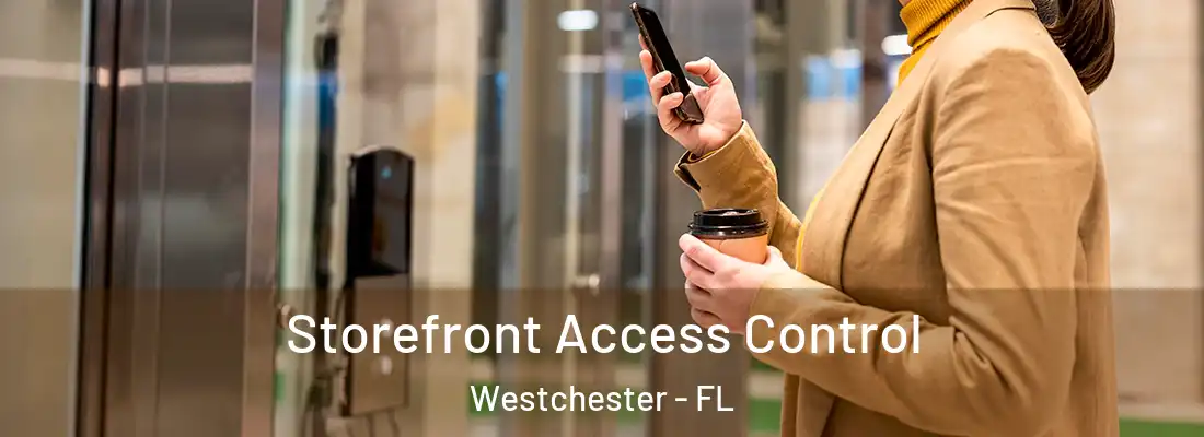 Storefront Access Control Westchester - FL