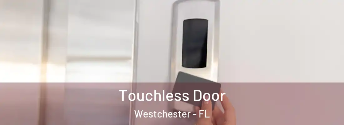  Touchless Door Westchester - FL